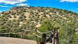 3245 Mapuana Trail - Photo 4