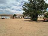 667 San Pedro Road - Photo 23