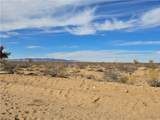 242-20-010 Brittlebush Drive - Photo 10