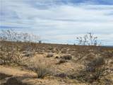 242-20-010 Brittlebush Drive - Photo 2