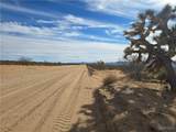 242-20-010 Brittlebush Drive - Photo 7