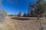 3725 Cantle Drive - Photo 51