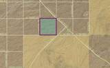 121-18-010 Bonanza Road - Photo 12