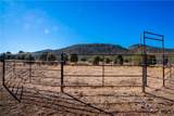 792 Knight Creek Road - Photo 37