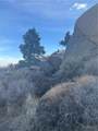 750 Red Wing Canyon Road - Photo 38