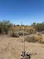 328-05-355 Paloma Drive - Photo 6