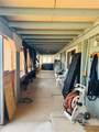 4021 Dome Road - Photo 28