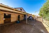10716 Painted Rock Drive - Photo 47