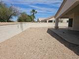 1069 Desert Acacia Drive - Photo 12