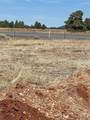 603 Cool Pines Road - Photo 11