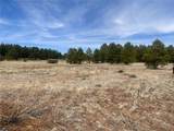 603 Cool Pines Road - Photo 3