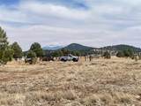 603 Cool Pines Road - Photo 4