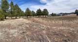 603 Cool Pines Road - Photo 5
