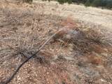603 Cool Pines Road - Photo 9