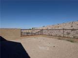 3233 Secret Pass Canyon Drive - Photo 18