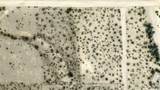 000 Agua Fria - Photo 11