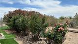 564 Elfrida Road - Photo 10