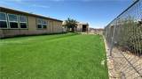 564 Elfrida Road - Photo 41