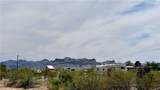 564 Elfrida Road - Photo 9