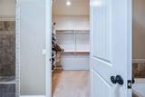 10726 Shimmering Way - Photo 34