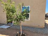 3659 Andrea Drive - Photo 22