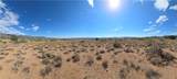 353-36-158 Tyree Road - Photo 10