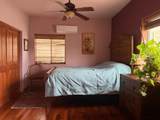 6323 Cottontail Trail - Photo 10