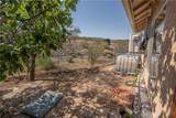 6323 Cottontail Trail - Photo 23