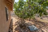 6323 Cottontail Trail - Photo 24