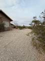 6323 Cottontail Trail - Photo 48