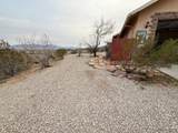 6323 Cottontail Trail - Photo 49