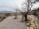 6323 Cottontail Trail - Photo 50