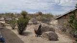 600 Havasu Lane - Photo 12