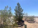 7352 Ninth Street - Photo 50