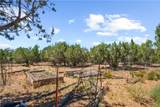 19205 Mesa View Trail - Photo 22