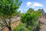 19205 Mesa View Trail - Photo 23