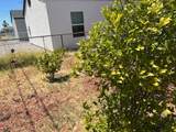 2038 Gregg Lane - Photo 13