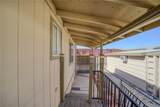 935 Citrus Street - Photo 56