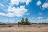3583 Avra Road - Photo 14