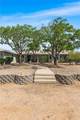10096 Mano Drive - Photo 50