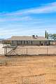 10096 Mano Drive - Photo 53