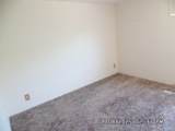 4040 Mallard Drive - Photo 31