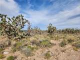 26601 Bullhead Road - Photo 3