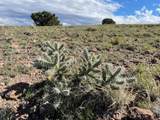 TBD Bravo Rd - Photo 5