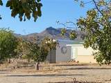 18013 Cholla Chuck Drive - Photo 36