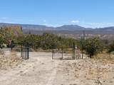 18013 Cholla Chuck Drive - Photo 44