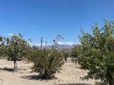18013 Cholla Chuck Drive - Photo 49