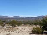 18013 Cholla Chuck Drive - Photo 55