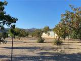 18013 Cholla Chuck Drive - Photo 59