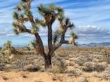 242-10-007 Gene Autry Road - Photo 1